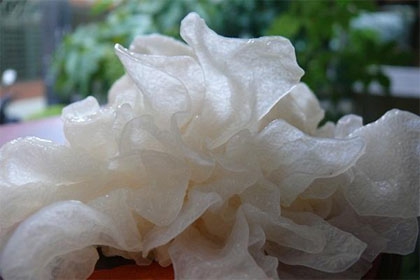 ?蚵仔湯抗痘、泡菜拌飯助睡眠 10款排毒抗發(fā)炎菜單