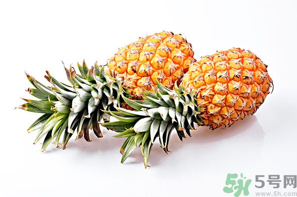 芒果和菠蘿能一起吃嗎？芒果和菠蘿一起吃好嗎？