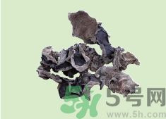 高血壓可以吃黑木耳嗎？木耳降血壓的做法有哪些？