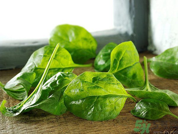 缺鐵有什么癥狀和危害？含鐵高的食物有哪些？