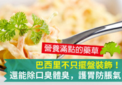 吃芹菜可以去口臭嗎？口臭可以吃芹菜嗎？