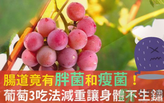 吃葡萄可以不吐葡萄籽嗎？吃葡萄皮好不好？