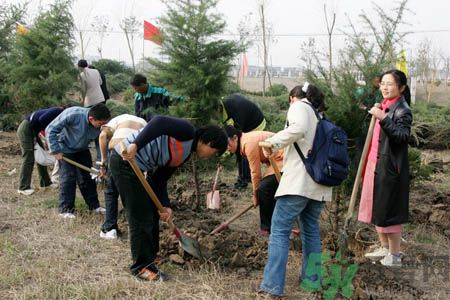 植樹節(jié)是幾月幾日？植樹節(jié)可以做些什么活動(dòng)？