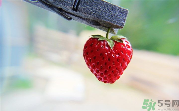 如何辨別草莓有沒(méi)有打膨大劑？如何清洗草莓才干凈？