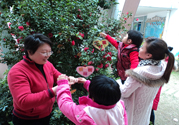 植樹(shù)節(jié)是幾月幾日？植樹(shù)節(jié)可以做些什么活動(dòng)？