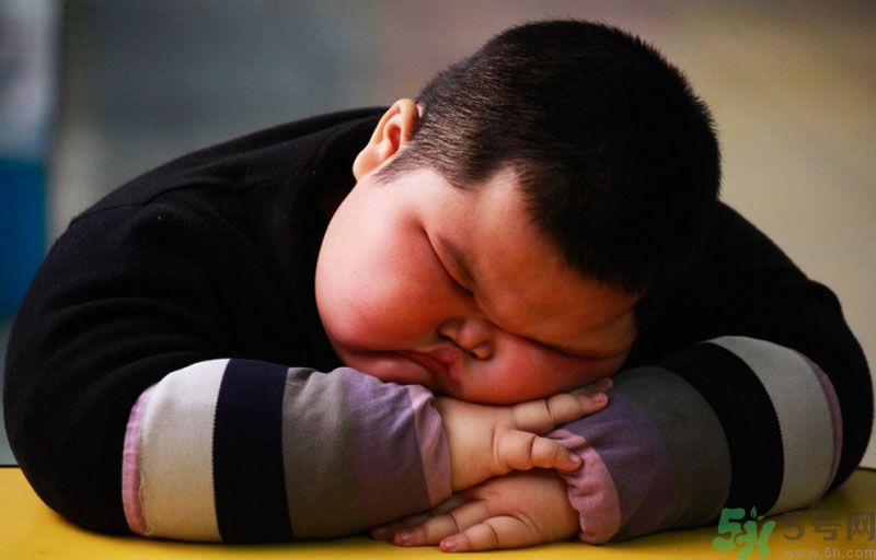 長(zhǎng)得太胖有人要嗎？ 要怎么才能找到女朋友？