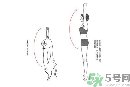 電腦族肩膀痛疼怎么辦？肩膀痛疼怎么解決？