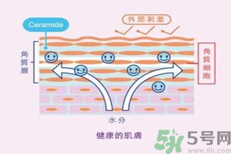 皮膚炎癢是怎么回事？皮膚炎發(fā)作怎么治療？
