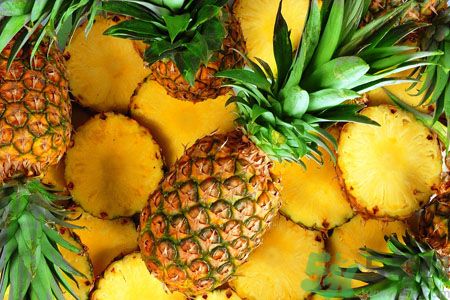 菠蘿和鳳梨有什么區(qū)別？菠蘿和鳳梨誰更好吃？