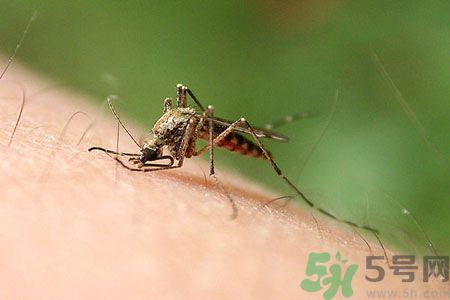 黃熱病可以吃水果嗎？怎么預(yù)防黃熱病癥狀？