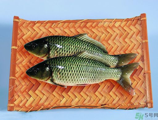 孕婦吃什么魚(yú)對(duì)胎兒好？孕婦吃什么魚(yú)最好？