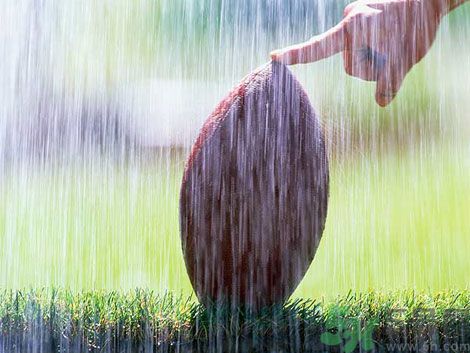 濕氣重的癥狀？怎么去除體內(nèi)的濕氣？