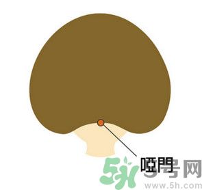 臉總是腫腫的怎么辦？臉有點(diǎn)浮腫怎么消腫？