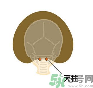 臉總是腫腫的怎么辦？臉有點(diǎn)浮腫怎么消腫？