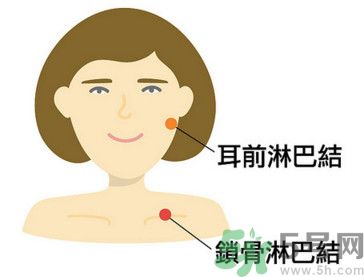 臉總是腫腫的怎么辦？臉有點(diǎn)浮腫怎么消腫？