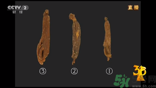紅參怎么挑選？紅參摻糖怎么辯解？