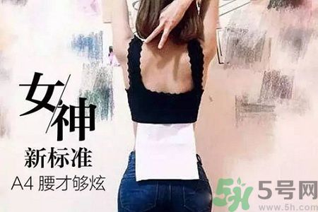 B5腰圍比A4腰圍更好？B5腰是什么意思？