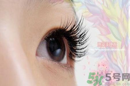 種睫毛的危害有哪些？種睫毛能保持多久？