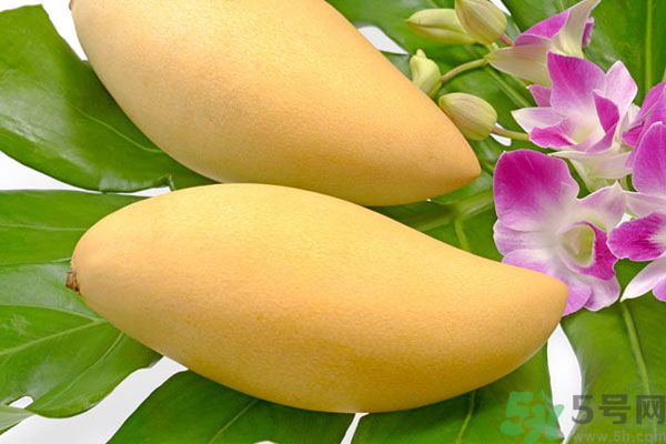 吃芒果嘴唇過敏怎么辦？為什么吃了芒果后嘴巴癢？