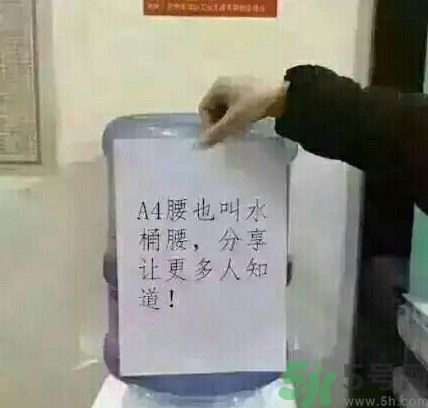a4腰也叫水桶腰是什么意思？a4腰也叫水桶腰圖片？ 