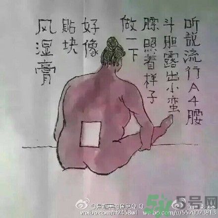 a4腰也叫水桶腰是什么意思？a4腰也叫水桶腰圖片？ 