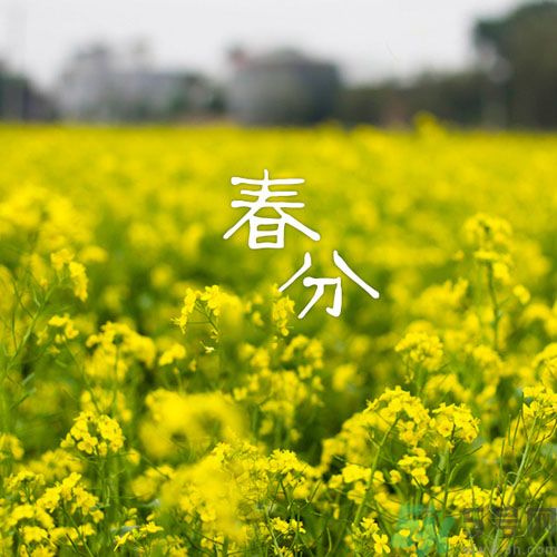 春分時(shí)養(yǎng)生要注意什么？春分要預(yù)防哪些疾??？
