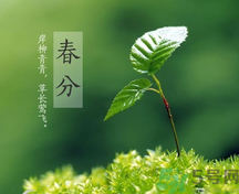 春分時(shí)養(yǎng)生要注意什么？春分要預(yù)防哪些疾病？
