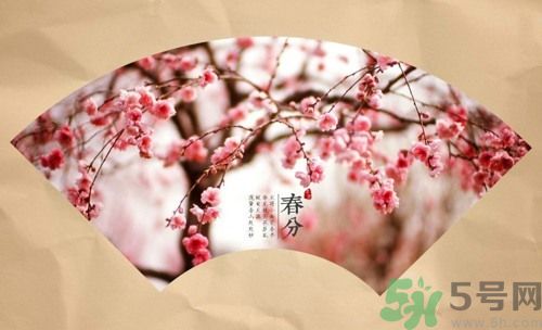 春分時(shí)養(yǎng)生要注意什么？春分要預(yù)防哪些疾??？