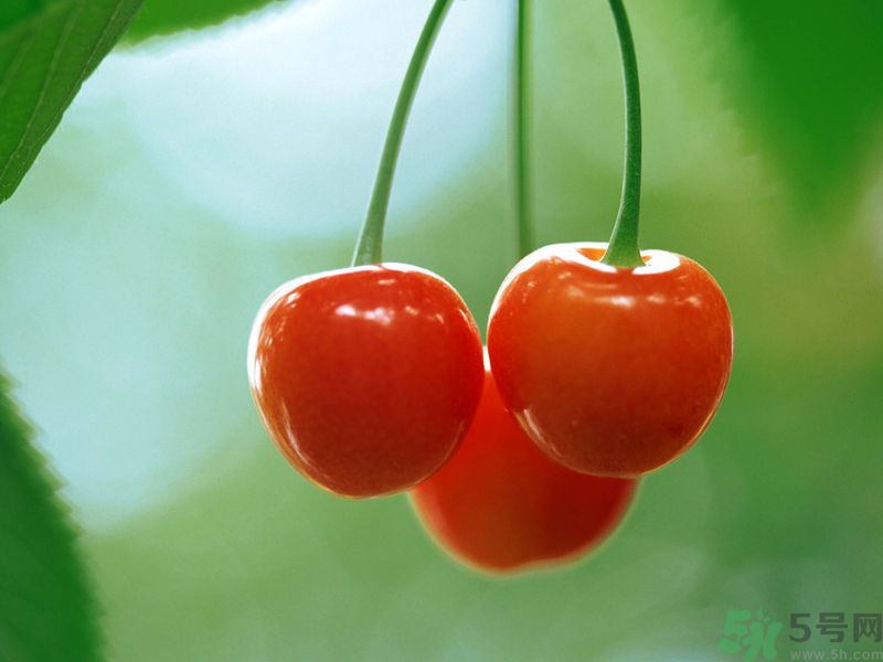 春分時節(jié)養(yǎng)生吃什么水果好？那些水果可以春天吃？