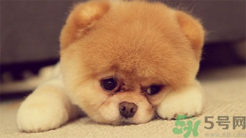 睡覺(jué)能戴手表嗎？睡覺(jué)不能帶的東西有哪些？