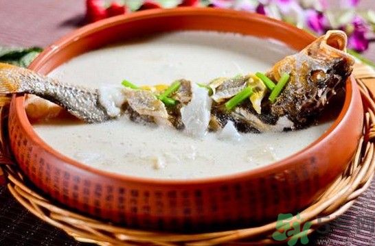 煲魚湯怎么去腥？家常魚湯做法有哪些？
