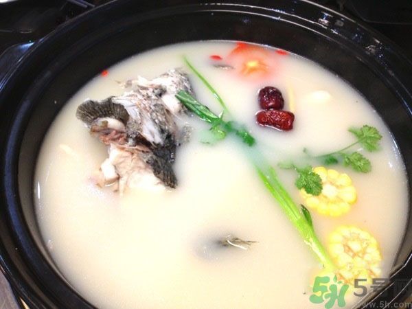 煲魚湯怎么去腥？家常魚湯做法有哪些？