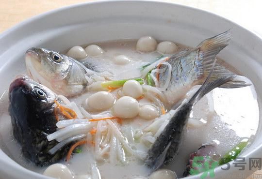 煲魚湯怎么去腥？家常魚湯做法有哪些？