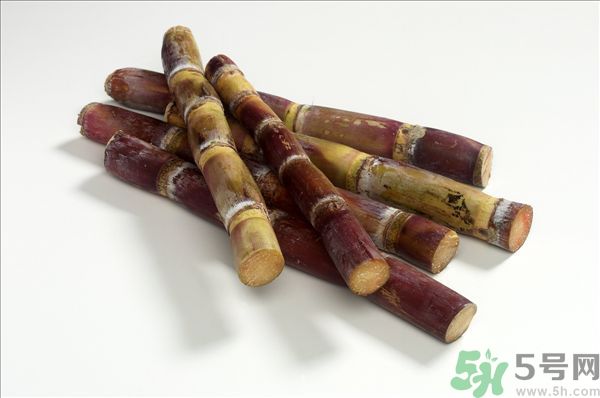 清明節(jié)能吃甘蔗嗎？清明節(jié)吃甘蔗會中毒嗎？