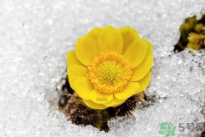 清明節(jié)有哪些習(xí)俗？清明節(jié)習(xí)俗的來源？
