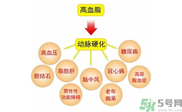 吃什么可以降血脂？高血脂吃什么好？