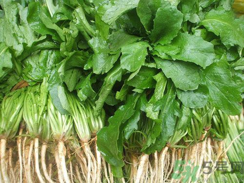 薺菜是發(fā)物嗎？薺菜是不是發(fā)物？