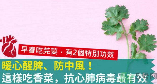 春天吃香菜好嗎？春天吃香菜有什么好處？