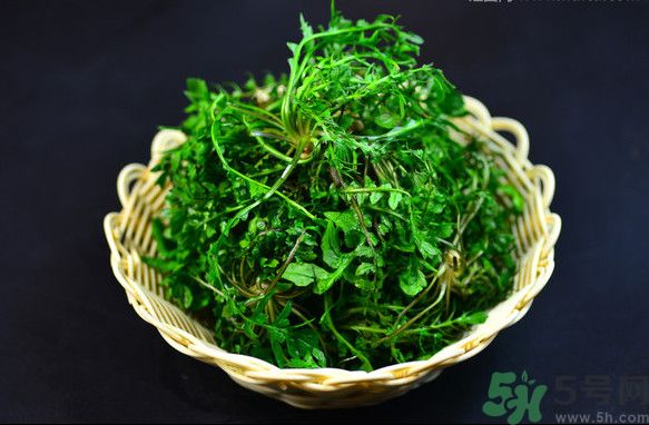 薺菜根能吃嗎？薺菜要去根吃嗎？