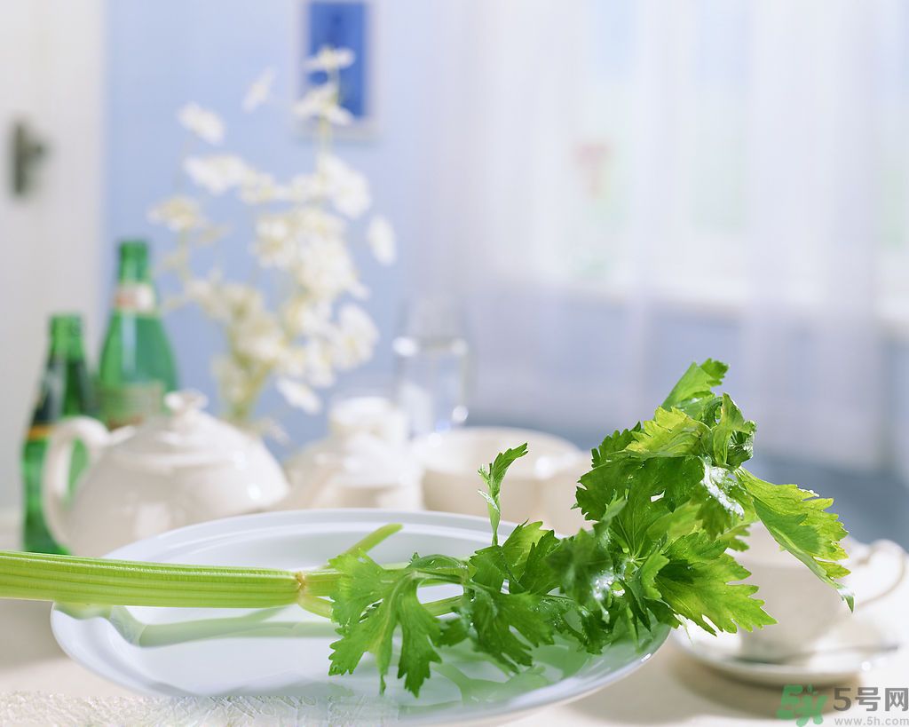 芹菜可以減肥嗎？芹菜有什么功效？