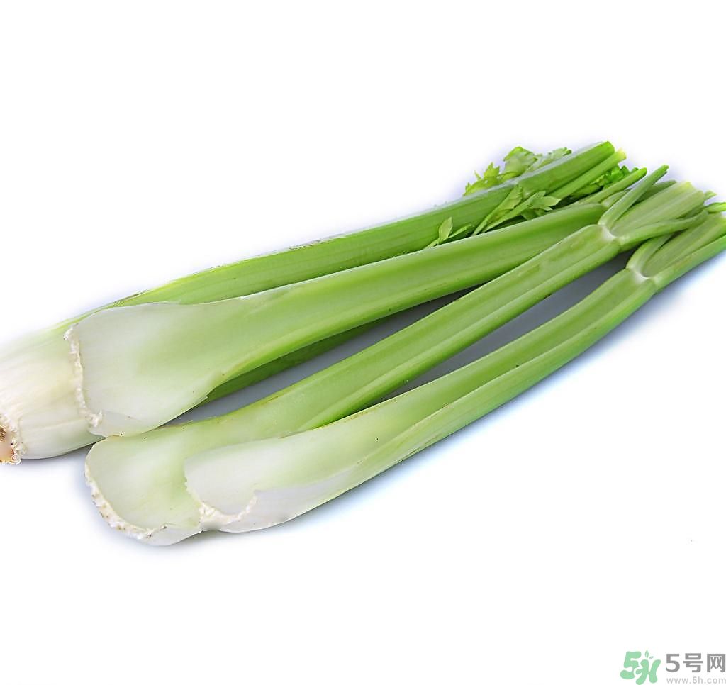 芹菜可以減肥嗎？芹菜有什么功效？