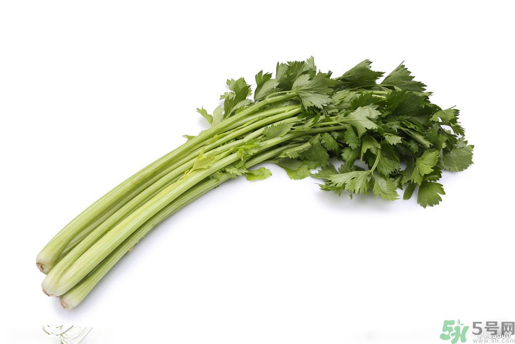 芹菜可以減肥嗎？芹菜有什么功效？