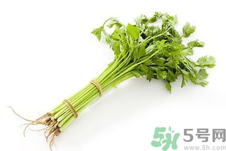 芹菜可以減肥嗎？芹菜有什么功效？