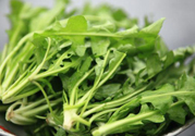 薺菜為什么要焯水？薺菜要用開水燙嗎？