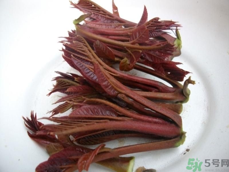 香椿好吃嗎？香椿可以做菜嗎？