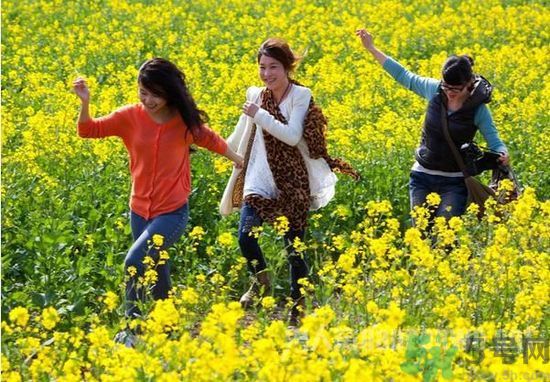 清明節(jié)的習俗有哪些？清明節(jié)吃什么？