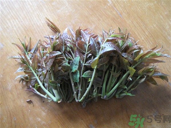 香椿怎么吃才安全？吃香椿的最佳時(shí)間是什么時(shí)候？