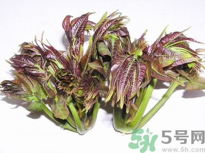 吃香椿有什么好處？香椿可以預(yù)防疾病嗎？