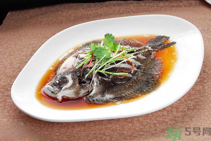 怎么挑選魚？挑魚的技巧有哪些？