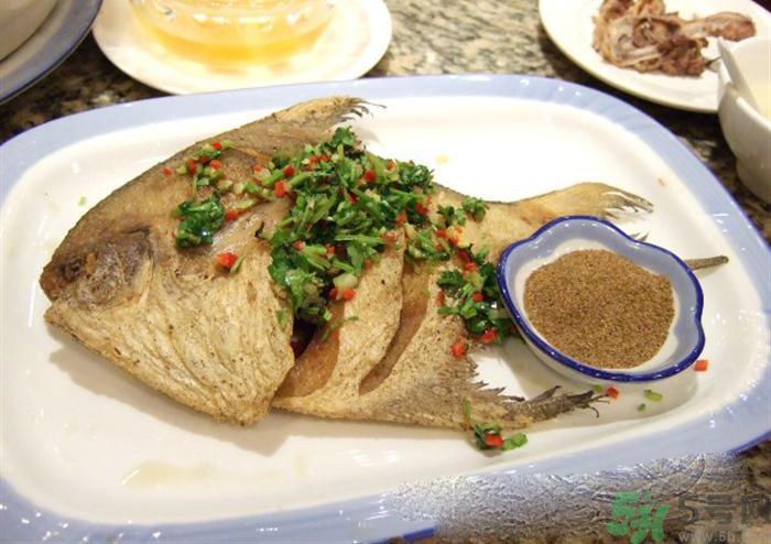 怎么挑選魚？挑魚的技巧有哪些？